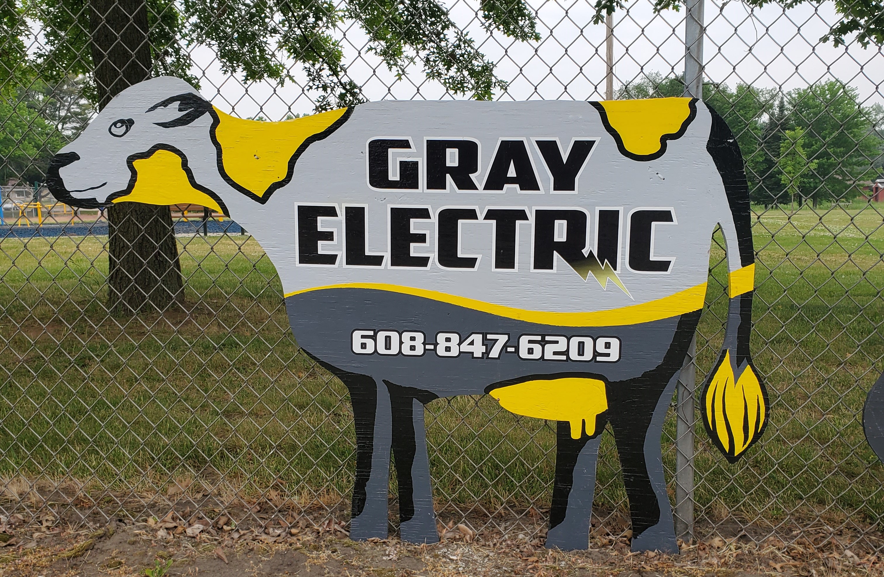 When Is the Right Time to Have A Cow